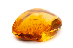 natural amber a piece of yellow opaque natural am